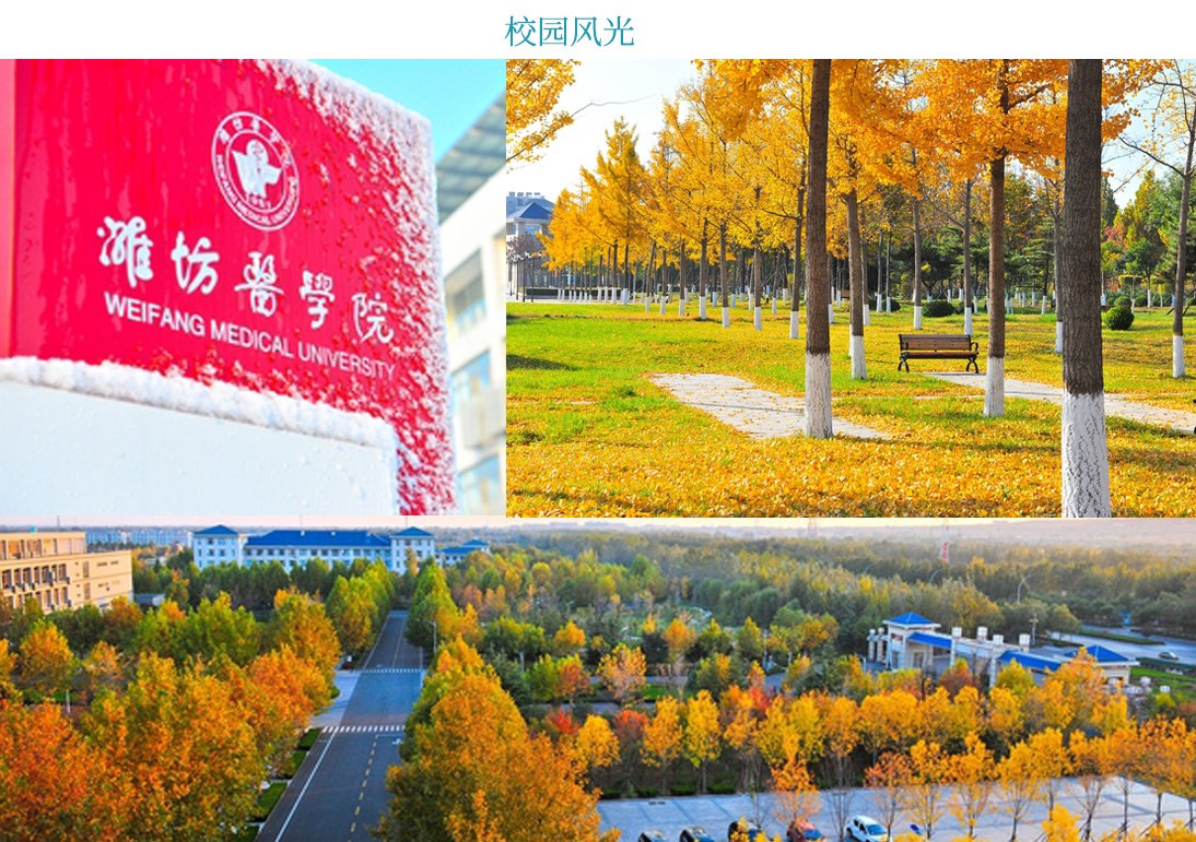 潍坊医学院