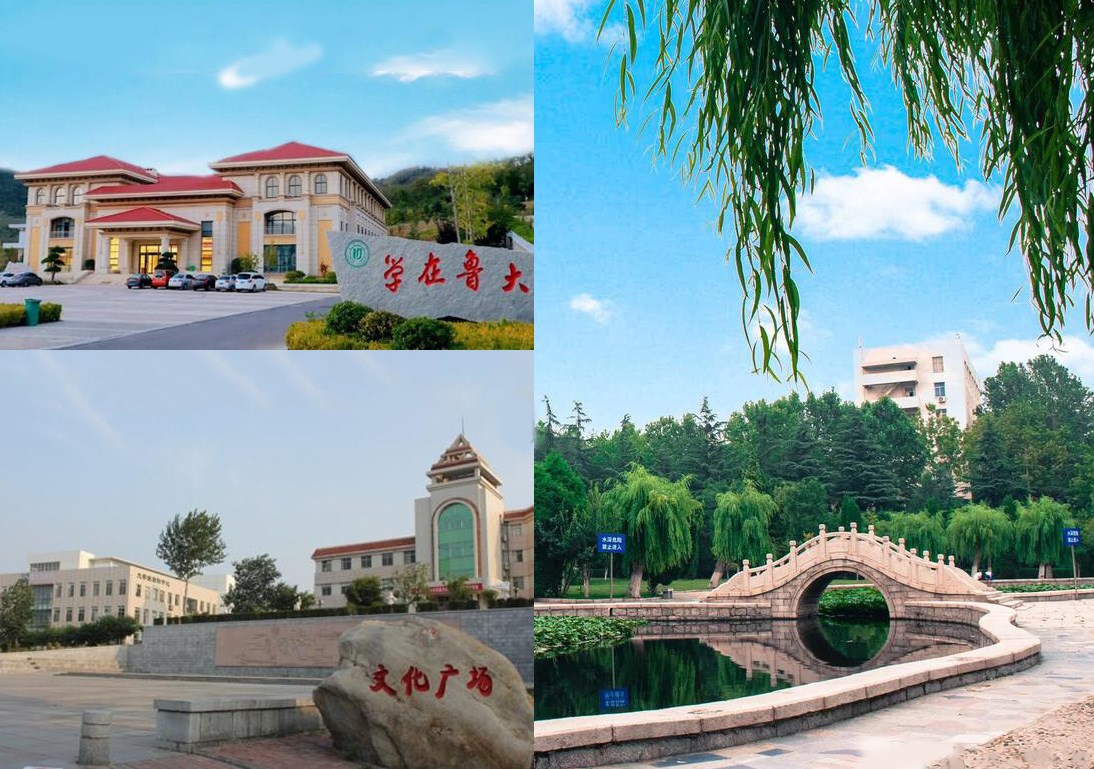 鲁东大学