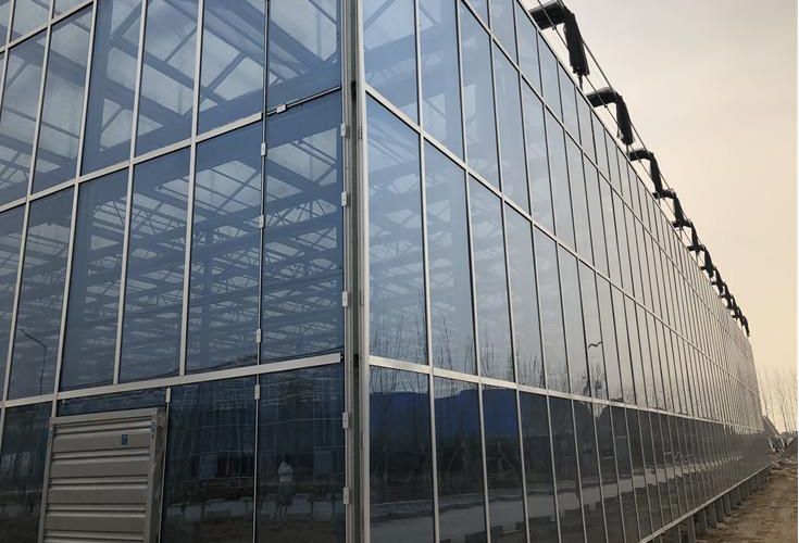 玻璃溫室設計搭建廠家
