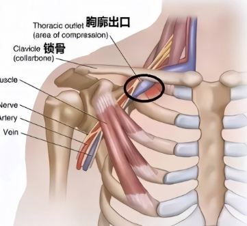 微信截图_20250416162206.png