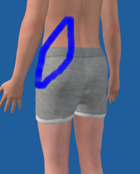 20250610_040652_336.png