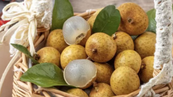 20251026_041009_221.png 20251026_041009_221.png