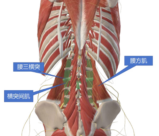 20251028_021030_790.png 20251028_021030_790.png